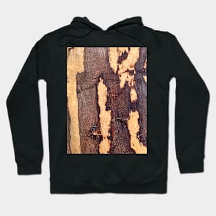 Wood Forest Nature Hoodie